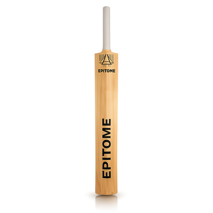 Players English Willow Cricket Bat